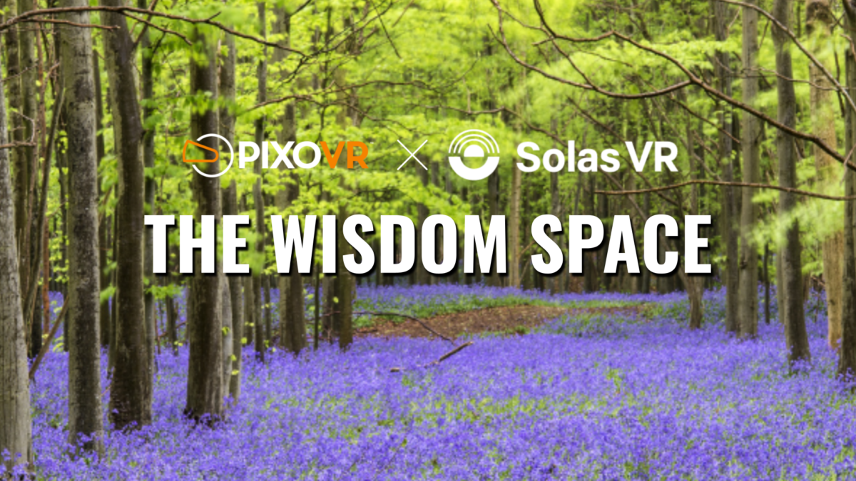 A forest with purple flowers with the wisdom space overlaid